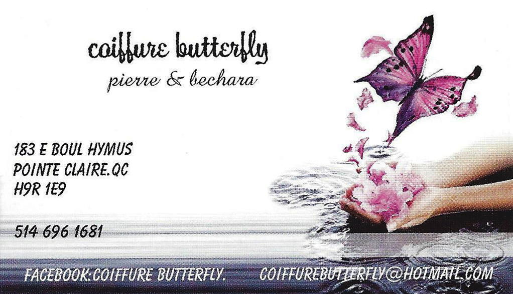 butterfly-1022x587